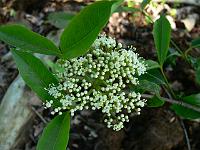 2010-06-16_08-07-28_0026