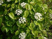 2012-06-19_08-35-17_0106