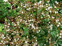 2009-05-04_09-42-20_0134