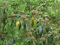 15-05-2006_14-20-50_85