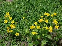 28-04-2007_10-39-46_90