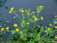 29-04-2007_08-27-34_32