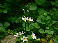 24-05-2007_09-08-29_04