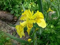 07-06-2006_18-02-36_65