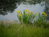 2012-05-26_17-40-14_0313