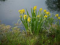 2012-05-26_17-40-26_0316