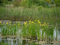 2014-05-21_16-27-04_0167