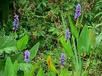 28-07-2006_11-37-36_10